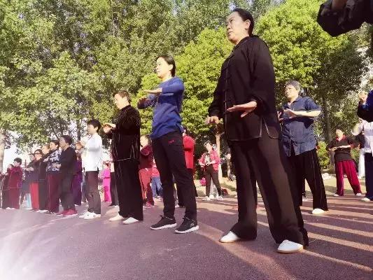 体育知识，内容、特点及其重要性