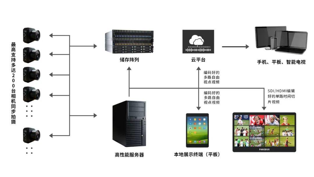 体育知识的多维度探索，内容与方法的全面解析