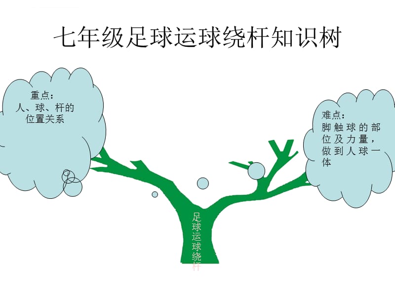 七年级体育知识树，构建青少年体育教育的基础
