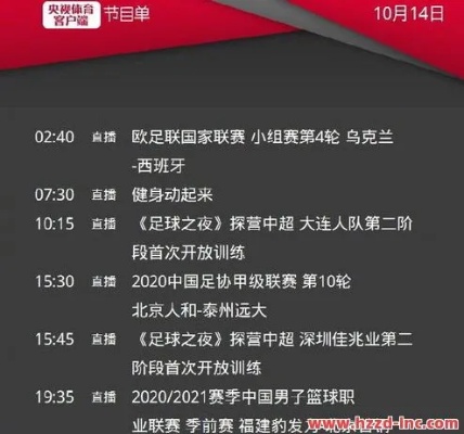 央视体育网直播，连接观众与体育赛事的桥梁