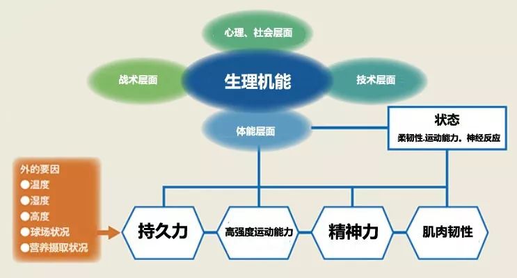 体育科学知识体系，构建运动员成功之路